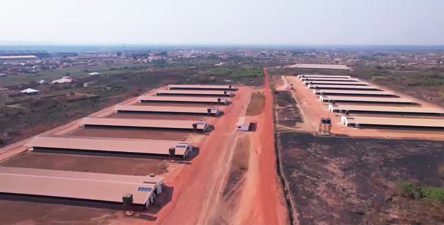 共创中非合作新标杆！Vinmart与bbin宝盈电气签订3个非洲光储项目